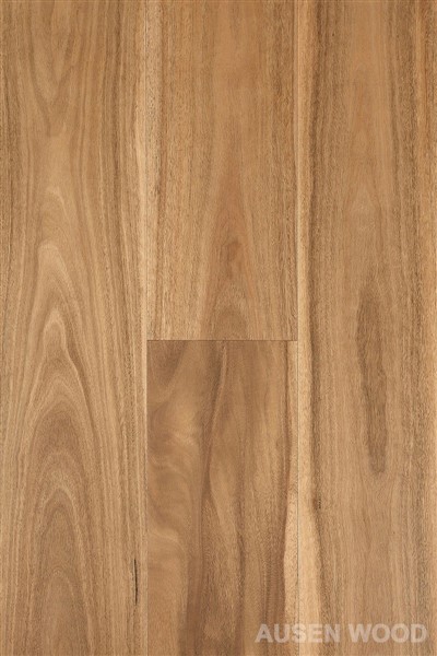 Cooper-plochá doska na ďasná