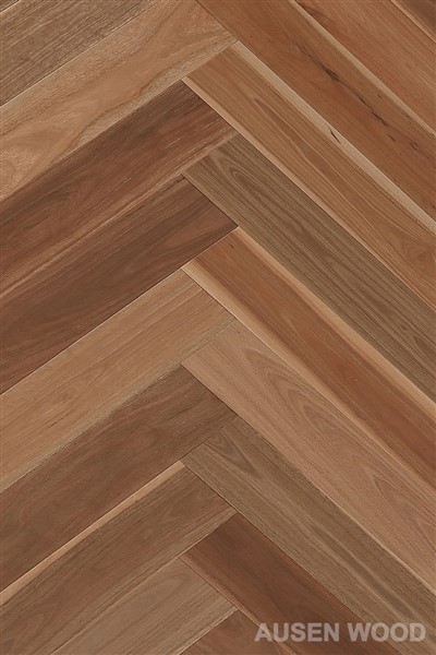 Cooper-rybia kosť z ďasien